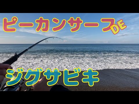 サーフで初めてのジグサビキ！