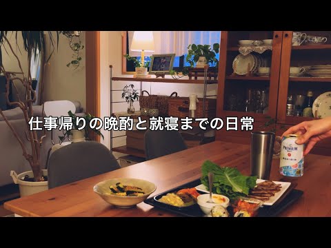 【金曜】仕事から19時帰宅後に簡単な夕食作ってひとり晩酌 / 寝るまでの平日夜の過ごし方