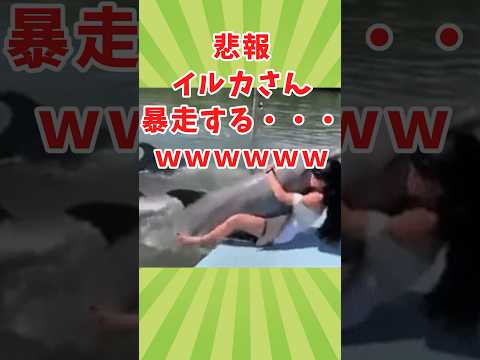 水生生物の動画見てクスッとなったら負けwww　#2ch動物スレ #動物 #shorts #2ch