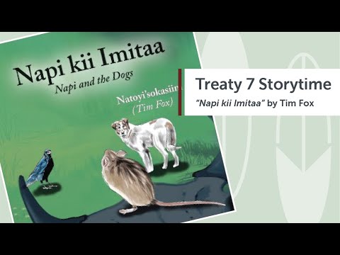 Napi Kii Imitaa: Napi and the Dogs | Treaty 7 Storytime (Read Aloud)