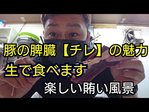 【チレ】豚の脾臓、生で食べます#豚の脾臓#チレ#捌き方