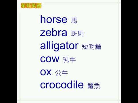 動物英文單字-4。用有趣的單字記憶通，快速記憶6個英文單字。#shorts #英文單字 #動物英文。