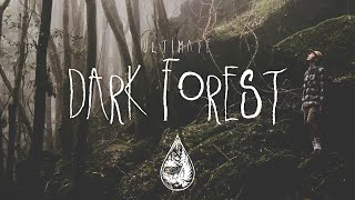 Ultimate Dark Forest 🦇 - A Spooky Indie/Folk/Alternative Playlist