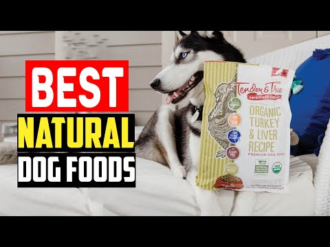 ✅Top 5 Best Natural Dog Foods in 2024