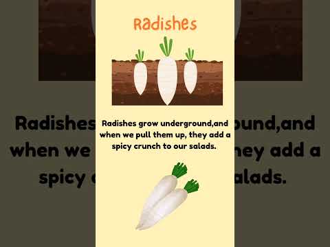 Discover Root Vegetables: Hidden Treasures Beneath the Soil. #rootvegetable #undergroundvegetables