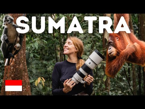 48h in the SUMATRAN JUNGLE, Bukit Lawang | ORANGUTAN, CAMPING AND RAFTING