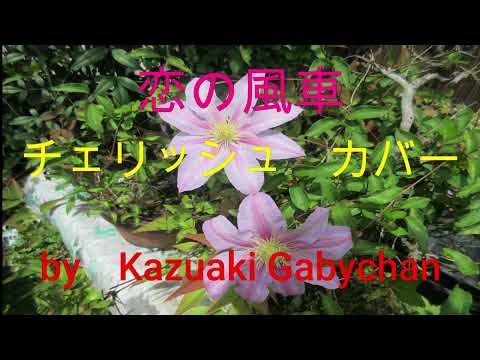 1974 ”恋の風車" チェリッシュ カバー　"Koi no Kazaguruma" "Love Windmill" Cherish, Covered by Kazuaki Gabychan