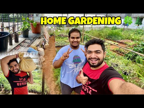 Home Gardening Vlog New Hobby Planting Plants | Gardening Vlog | Kannada Vlog | TheGeekIndia #decor