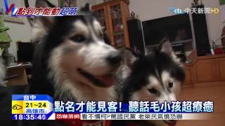 20150304中天新聞　點名才能見客！　聽話毛小孩超療癒