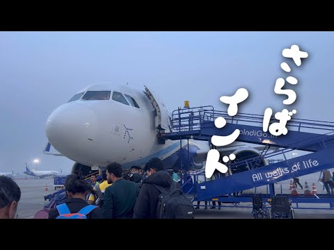 【インド旅行ep.8】インド最終日。そろそろ日本に帰りたい！/ 耳かきおじさんに遭遇 / india / vlog