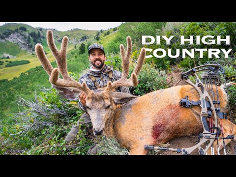 Velvet MULEY in the HIGH COUNTRY!! Public Land DIY BOWHUNTING