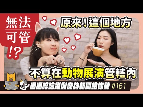 EP. 161無法可管！原來這地方不算在動物展演管轄內｜毛爸媽碎碎唸