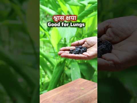 Ep-78 of Vedic Recipes (द्राक्षा फलोत्तम)💥Black Raisins Soup recipe #shorts