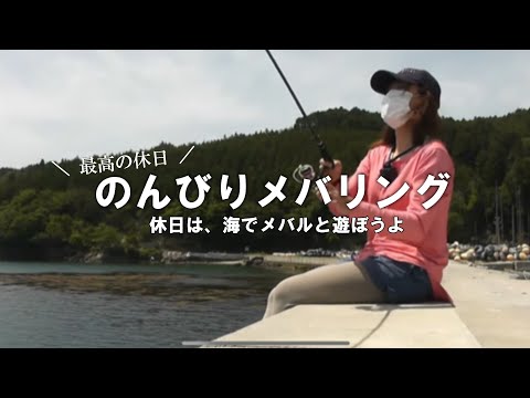 【メバリング】のんびりメバル釣りを楽しんだ休日