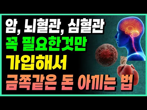 보험 가입 서둘러야 하나  금쪽 같은 돈 아끼는 방법