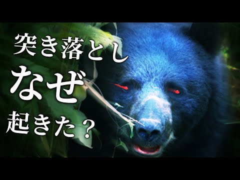 奈良県ツキノワグマ襲撃の真相＆登山中の熊対策を徹底考察！