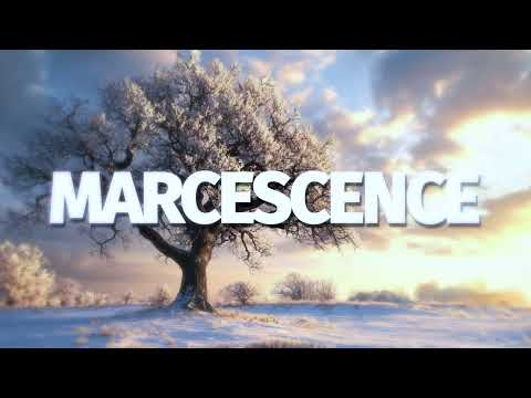 Marcescence – An elegant word that holds a poetic, life-changing power (music only)