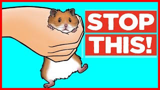 18 Things Hamsters Hate