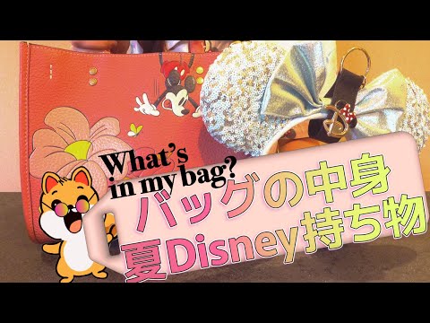 【必要最小限！】夏ディズニーの持ち物！パークを快適に過ごすためのバッグの中身をご紹介します！！