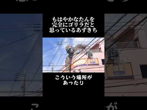 もはやかなたんを完全にゴリラだと思っているあずきち【ホロライブ / AZKi / 天音かなた】