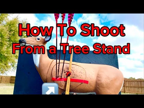 How To Shoot From A Tree Stand! Longbow, Recurve or Compound!