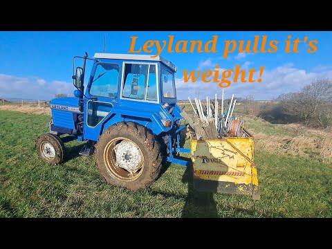 Leyland pulling its weight, weathering the storm, fencing and ewe move