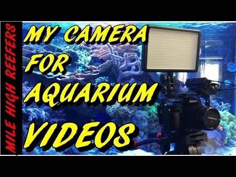 Videoing My Aquarium the Gear I Use for YouTube