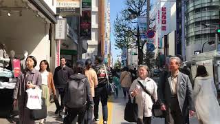 Tokyo Walker! Shinjuku street near Isetan and Apple shop!