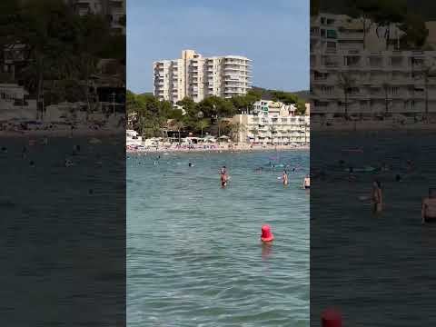 Beach Mallorca, Spain | Playa de Paguera August 2023 #travel #spain #beach