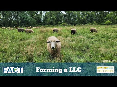 Forming a LLC