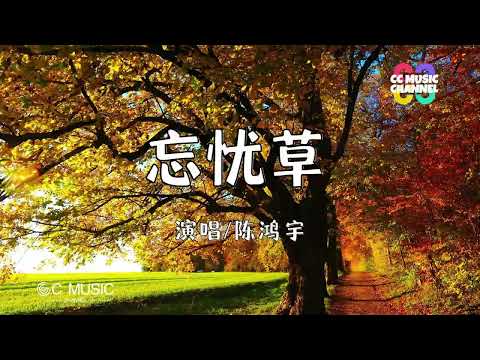 陈鸿宇 - 忘忧草【#动态歌词lyrics  #video ideo】【高音质 动态歌词lyrics】【動態歌詞/Vietsub/Pinyin Lyrics】🎵