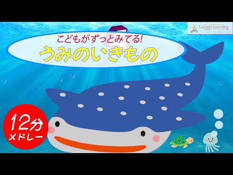 [Japanese] Sea creature quiz medley What is a sea animals?  Baby stops crying Educational video