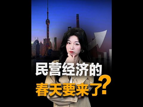 民营经济的春天要来了？#王大沁  #抖音知识年终大赏