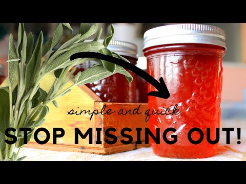 Preserve and Cook with Sage at Home | Easy Sage Jelly Canning Recipe for ANY Meal #JamitupJune