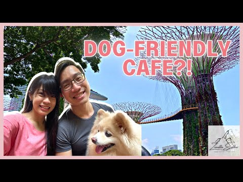 Exploring Gardens By The Bay Singapore with Pomeranian Fur-kid! | 与博美犬毛小孩探索新加坡滨海湾花园 [Vlog 23]