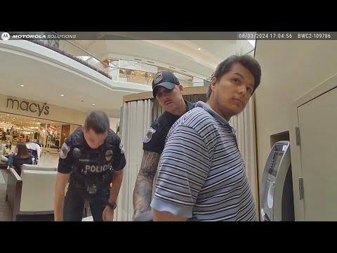 Is Shoplifting At The Mall With A Stolen Car Really A Good Idea?