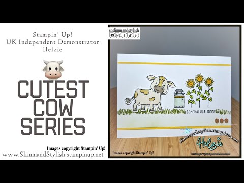 Cutest Cow 🐮 Card Series 3