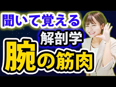 【解剖学】聞いてるだけで記憶に残る！解剖学の「腕の筋肉」について