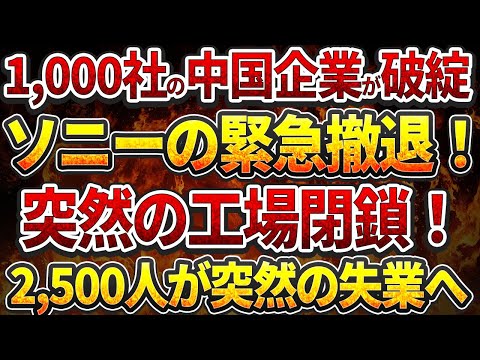 1,000社の中国企業が破綻！ソニーの緊急撤退劇！突然の工場閉鎖！2,500人が突然の失業へ