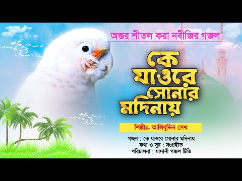 গজলটি যে শুনবে অন্তর শীতল হয়ে যাবে//কে যাওরে সোনার মদিনায়//Most Beautiful Bangla Gojol//Alibuddin