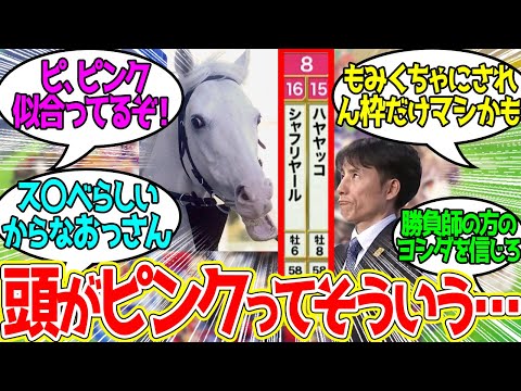 ハヤヤッコ８枠15番 ← 外枠だから見やすいぞ（よくない）に対するみんなの反応！【競馬 の反応集】