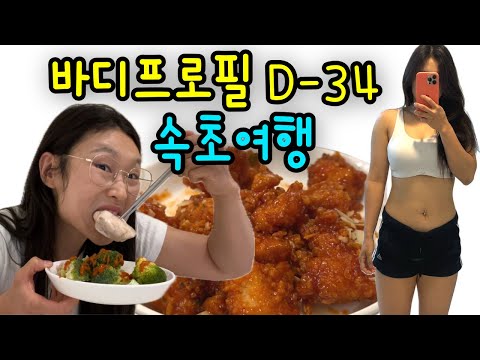 바프준비 2주차ㅣ다이어터의 여행