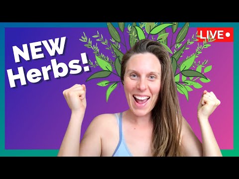 NEW Herbs!! Mountain Rose Herbs Unboxing