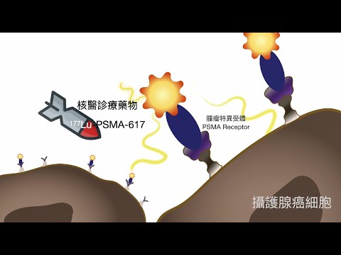 【和信小學堂 - 攝護腺癌篇】第9集∣PSMA 攝護腺癌診療的新曙光∣黃玉儀醫師