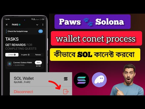 Paws connect solana Wallet |paws mystery questtoday |paws mystery quest |paws airdrop newtask