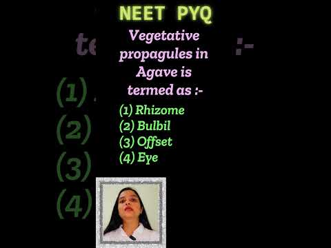 neet MCQ test ❤️ #shortfeed #neetmotivation #youtube #aiimsdelhi #neetphysics #futuredoctors