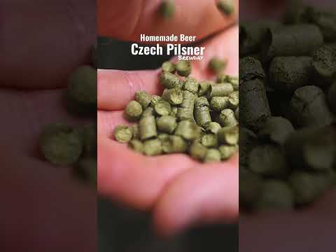 Brewing a Czech Pilsner #homebrewing #czechpilsner #ryanmichaelcarter