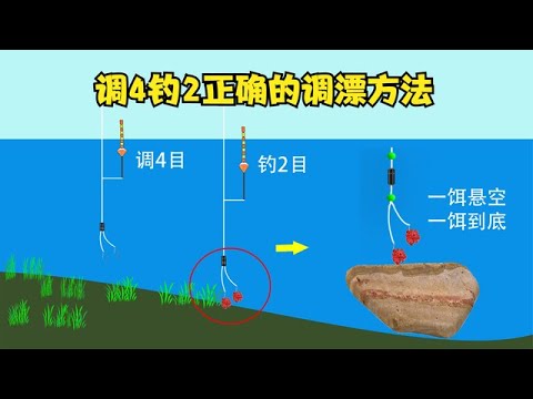 为何你调漂总出错？“调4钓2”这种调漂方式并非万能，要学会分析