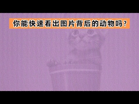 10个考验眼力的小测试，你能快速看出来阴影背后隐藏的小动物吗？