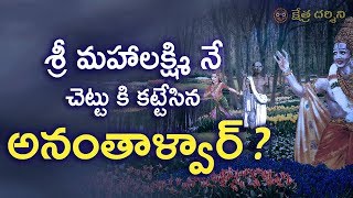 తిరుమల లో శ్రీ మహా లక్ష్మి నే చెట్టుకు భందించిన అనంతాళ్వార్ ? - Story of Ananthalwar